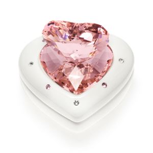 Swarovski （スワロフスキー） 5063344 アクセサリー