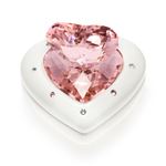 Swarovski （スワロフスキー） 5063344 アクセサリー