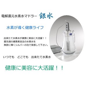 電解還元水素水マドラー 銀水 電解還元水素水マドラー 銀水