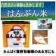 5年備蓄可能 アルファー米「越後育ちの春陽はんぶん米」 100g（できあがり260g）×10パック