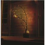 RUBIE'S（ルービーズ） HALLOWEEN（ハロウィン） LED Illumination 5m - Orange（LED イルミネイション 5m オレンジ）