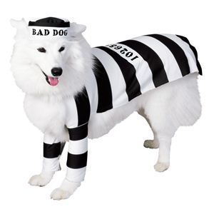 RUBIE'S（ルービーズ） PET（ペット用コスプレ） ペットコスプレ Prison Dog（プリズン ドッグ） Mサイズ
