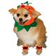 【コスプレ】 RUBIE'S（ルービーズ） PET（ペット用コスプレ） ペットコスプレ Headpiece ＆ 4 Paw Cuffs Pumpkin（ヘッドピース ＆ 4 パーティー カフス パンプキン） Mサイズ - 縮小画像1
