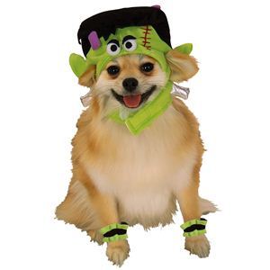 RUBIE'S（ルービーズ） PET（ペット用コスプレ） ペットコスプレ Headpiece ＆ 4 Paw Cuffs Mini Monster（ヘッドピース ＆ 4 パーティー カフス ミニ モンスター） Mサイズ