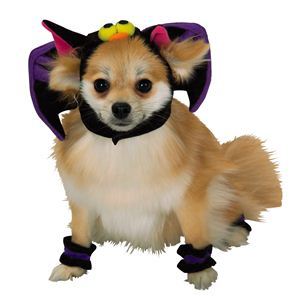 RUBIE'S（ルービーズ） PET（ペット用コスプレ） ペットコスプレ Headpiece ＆ 4 Paw Cuffs Bat（ヘッドピース ＆ 4 パーティー カフス バット） Mサイズ