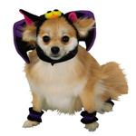 RUBIE'S（ルービーズ） PET（ペット用コスプレ） ペットコスプレ Headpiece ＆ 4 Paw Cuffs Bat（ヘッドピース ＆ 4 パーティー カフス バット） Mサイズ