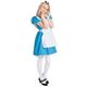 【コスプレ】 RUBIE'S（ルービーズ） DISNEY（ディズニー） コスプレ Adult Alice（アリス） Stdサイズ - 縮小画像1