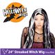 【コスプレ】 RUBIE'S （ルービーズ） 50703 24" Streaked Witch Wig - Grey／Black（ウィッグ） - 縮小画像1