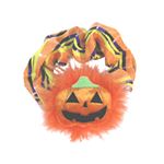 RUBIE'S （ルービーズ） 802674 Hair Shushu - Feathered Pumpkin