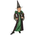 RUBIE'S （ルービーズ） 881123S Green Sparkle Witch