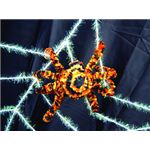 RUBIE'S （ルービーズ） BO92210 Orange Spider