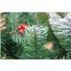 【クリスマス】210cm オーナメント付きツリー S642／7 - 縮小画像3