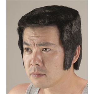 【パーティーグッズ】角刈りカツラ