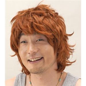【パーティーグッズ】イケメンサーファーかつら
