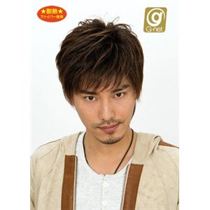 【パーティーグッズ】ショートレイヤー ビターシナモンブレンド