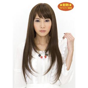 【パーティーグッズ】5953T エクストラロングシャギー ソフトブラウン