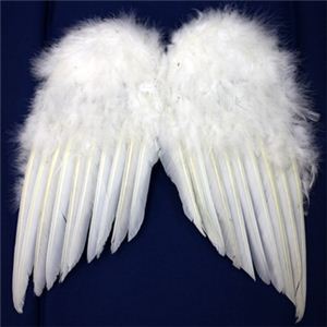 【パーティーグッズ】天使の翼 （L）