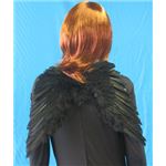 【パーティーグッズ】スプレッドウィング・ブラック（M）