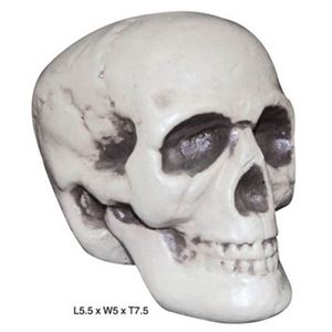 80689 Realistic Skull リアリスティック スカル