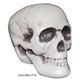 【コスプレ】80689 Realistic Skull リアリスティック スカル - 縮小画像1