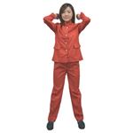 カラフル学ラン レディース レッド
