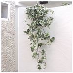 人工観葉植物 リーフスワッグ（白斑）（アイビー／120cm）