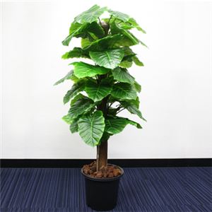 人工観葉植物 クワズイモ 145cm