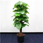 人工観葉植物 クワズイモ 145cm