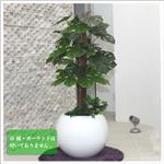 人工観葉植物 モンステラ 95cm