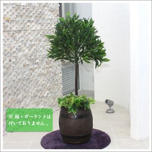 人工観葉植物 オリーブツリー 小 125cm