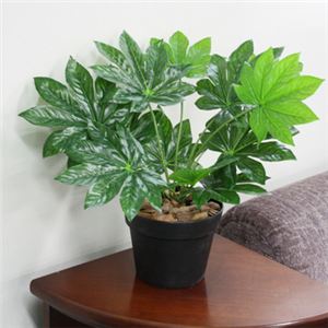 人工観葉植物 ミニヤツデ 45cm