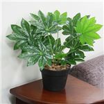 人工観葉植物 ミニヤツデ 45cm