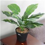 人工観葉植物 ミニポトス 白斑 45cm