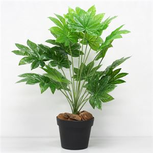 人工観葉植物 ミニヤツデ 60cm