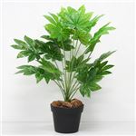 人工観葉植物 ミニヤツデ 60cm