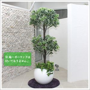 人工観葉植物 カポック 白縁 ヤドリフカノキ 150cm