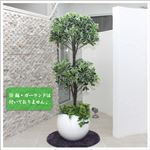 人工観葉植物 カポック 白縁 ヤドリフカノキ 150cm