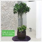 人工観葉植物 カポック ヤドリフカノキ 120cm