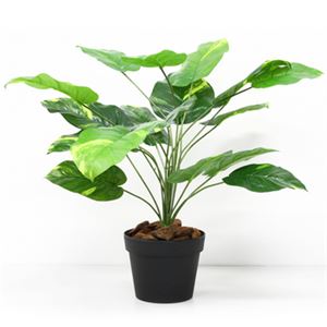 人工観葉植物 ミニポトス 白斑 60cm