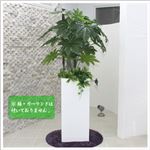 人工観葉植物 ヤツデ 130cm