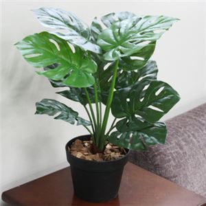 人工観葉植物 モンステラ 50cm