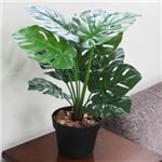 人工観葉植物 モンステラ 50cm