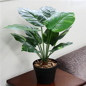 人工観葉植物 ポトス 50cm