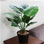 人工観葉植物 ポトス 50cm