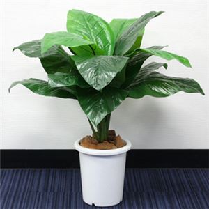 人工観葉植物 スパティフィラム 80cm