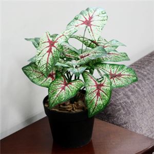 人工観葉植物 カラジューム 45cm