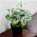 人工観葉植物 カラジューム 45cm