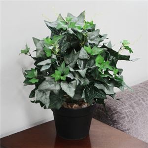 人工観葉植物 アイビー ツル 光沢 50cm