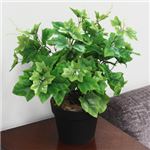人工観葉植物 グレープリーブス 紅白斑 ツル 50cm