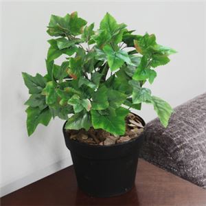 人工観葉植物 グレープリーブス 赤黄斑 45cm